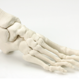 3D打印醫療及健康護理（設計報價）